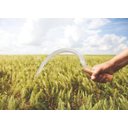 Ver imagem 2 de Foicinha com Dentes Tramontina em Aço com Cabo de Madeira