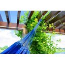 Ver imagem 2 de Rede de Dormir Descanso Casal Sol a Sol Azul