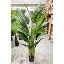 Ver imagem 3 de Bananeira Artificial Viajante Planta Permanente Real Toque 1.60m