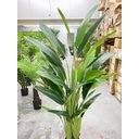 Ver mais imagens de Bananeira Artificial Viajante Planta Permanente Real Toque 1.60m