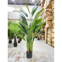 Ver imagem 5 de Bananeira Artificial Viajante Planta Permanente Real Toque 1.60m