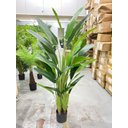 Ver imagem 7 de Bananeira Artificial Viajante Planta Permanente Real Toque 1.60m