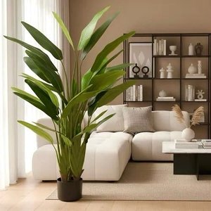 Bananeira Artificial Viajante Planta Permanente Real Toque 1.60m