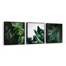 Conjunto 3 Quadros Decorativos 58x58 Cm Plantas - 1