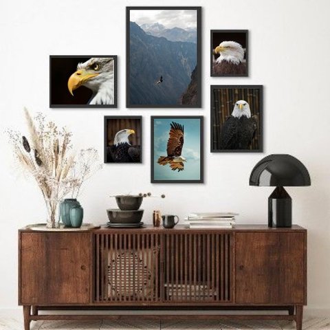 Kit Composição 6 Quadros Fotografias Águias - com Vidro:madeira Branca