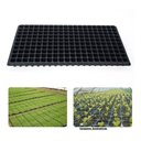 Ver imagem 2 de Kit 50 Bandeja Sementeira Para Produção De Mudas 200 Células