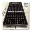 Ver imagem 3 de Kit 50 Bandeja Sementeira Para Produção De Mudas 200 Células