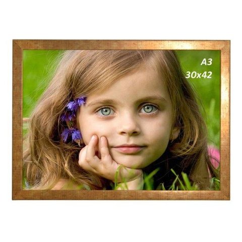 Porta-retrato Moldufoto para Fotos 30 X 42 (a3) Moldura Lisa de 2 Cm - Ouro Envelhecido