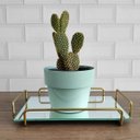 Ver imagem 5 de Bandeja Retangular Espelhada 26x17cm Bandeja Decorativa Pequena Dourado