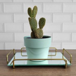 Bandeja Retangular Espelhada 26x17cm Bandeja Decorativa Pequena Dourado - 5