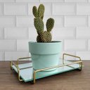 Ver imagem 2 de Bandeja Retangular Espelhada 26x17cm Bandeja Decorativa Pequena Dourado