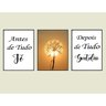 Conjunto Dequadros Decorativos com Frase Gratidao C/Moldura - 2