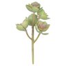 Suculenta Verde c/Rosa 18cm Flor Arte - 1