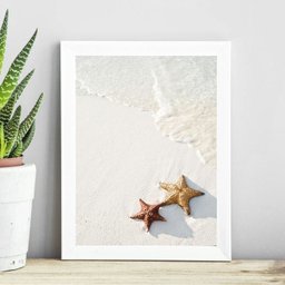 Quadro Coleção Praia Soft - Estrelas do Mar 24x18cm:madeira Branca - 1
