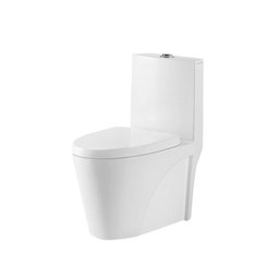 Vaso Sanitário Monobloco Prizi Royal Cerâmica com Kit Comple - 2