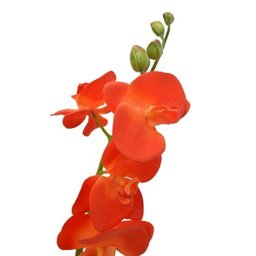 Orquídea Artificial Toque Real X6 Laranja 72cm - 1 Orquídea Artificial Toque Real X6 Laranja 72cm - 1