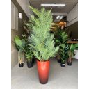 Ver imagem 5 de Vaso Grande para Planta para Decoração Sala Varanda Jardim Alto Brilho e Leve 54cm (liso/vermelho)