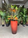 Ver imagem 6 de Vaso Grande para Planta para Decoração Sala Varanda Jardim Alto Brilho e Leve 54cm (liso/vermelho)