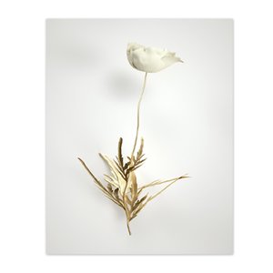 Quadro Decorativo Floral Foto, Tela em Canvas ideal para  Sala , Quarto e Hall de entrada(100x70 cm)