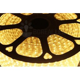Mangueira Fita LED Chata 5050 5m Branco Quente 6mm 300 LEDS 220V - 6