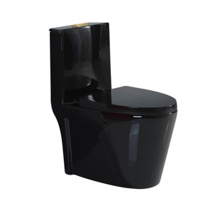 Vaso Sanitário Monobloco Prizi Cerâmica com Kit Completo e C