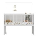 Ver imagem 5 de Mini Berço Moisés com Colchão Incluso e Rodízios Multimóveis Mp4381c Branco