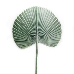 Folha Artificial de Latânia Azul 83 cm - Indo Decorar - 4