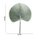 Ver imagem 6 de Folha Artificial de Latânia Azul 83 cm - Indo Decorar