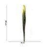 Capim dos Pampas com 2x Pluma Verde Creme 85 cm - Indo Decorar - 5