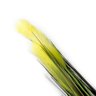 Capim dos Pampas com 2x Pluma Verde Creme 85 cm - Indo Decorar - 1