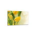 Ver imagem 3 de Quadros Decorativos Orquídia Amarela 120 X 60 Cm