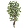 Planta Árvore Artificial Ficus Verde Creme 2,1m - 1