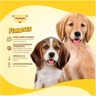 Ração Quatree Gourmet Cães Filhotes 3Kg - 2