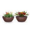 Vaso Bacia De Planta Flor Rosa Jasmim Lobelia Orquidea 30X12 - 2