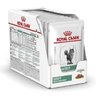 Combo 12Un Ração Úmida Gatos Royal Canin Satiety 85G Cada - 2