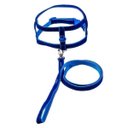 Ver imagem 1 de Coleira Peitoral Tradicional com Aplique - Nº 03