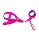 Ver imagem 1 de Coleira Peitoral Americano De Camurça Rosa - N.6