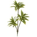 Ver imagem 1 de Planta Artificial Arvore Dracena Reflexa Real Toque X61 Verde Amarelo 70cm