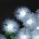 Ver imagem 4 de Pisca Cordão Dente de Leão Solar Externo 20 Leds 5m Branco