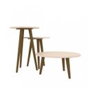 Ver imagem 4 de Conjunto Mesa de Centro, Mesa Lateral e Mesa de Apoio Vintage 