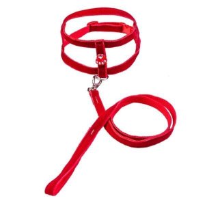 Coleira Peitoral Tradicional com Aplique - Nº 04