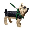 Ver imagem 4 de Coleira Peitoral Riscadinho Americano - Verde Nº 05