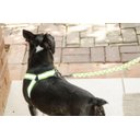 Ver imagem 5 de Coleira Com Guia Refletiva Para Cães Cão Pet Passeio Noturno