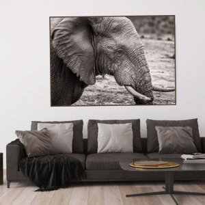 Quadro Canvas Decorativo para Sala Elefante 30x42