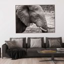 Ver imagem 1 de Quadro Canvas Decorativo para Sala Elefante 70x90