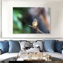 Ver imagem 1 de Quadro Canvas Decorativo para Sala Beija-flor 1,00x1,30