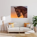 Ver imagem 1 de Quadro Canvas Decorativo para Sala Cavalo Entardecer 50x70