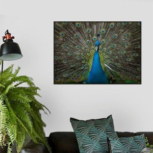 Quadro Canvas Decorativo para Sala Pavão 70x90