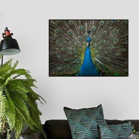 Quadro Canvas Decorativo para Sala Pavão 70x90