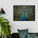 Ver imagem 1 de Quadro Canvas Decorativo para Sala Pavão 1,00x1,30